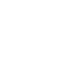 Zynovia Academy — Académie d'Intelligence Artificielle